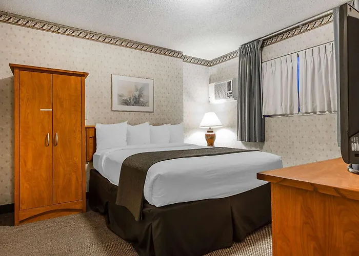 Quality Inn & Suites Silicon Valley